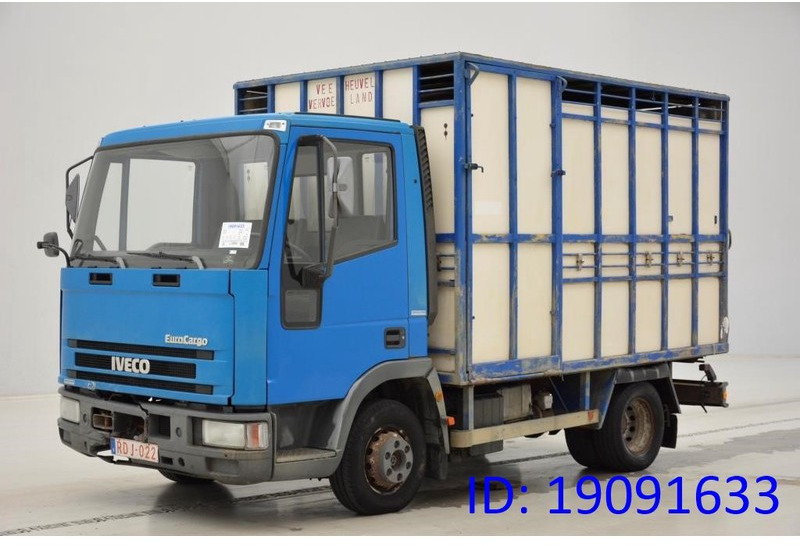 Iveco 65E14 - Livestock truck: picture 1 Iveco 65E14 - Livestock truck: picture 1