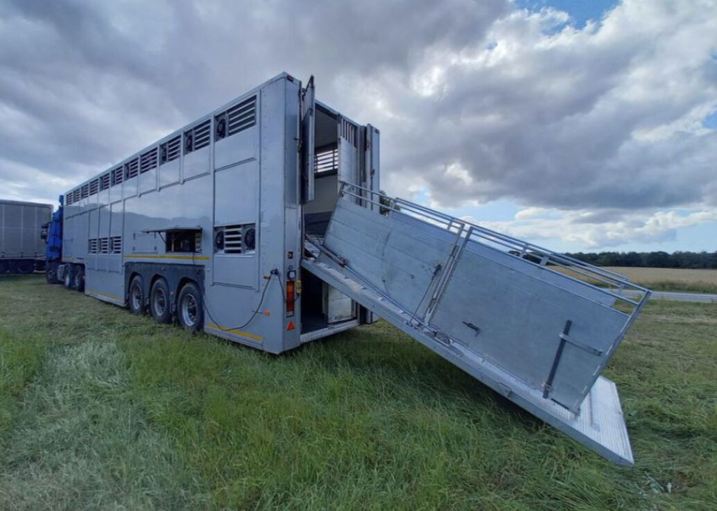 Livestock semi-trailer Gray and Adams Gadd3 / Works Great / Hydraulic / 2 Levels: picture 21
