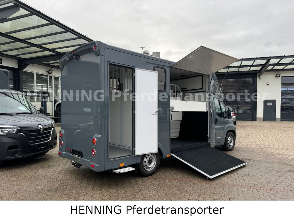 Fiat Ducato *NEUWAGEN* ca.1100 kg Nutzlast - Horse truck: picture 3 Fiat Ducato *NEUWAGEN* ca.1100 kg Nutzlast - Horse truck: picture 3