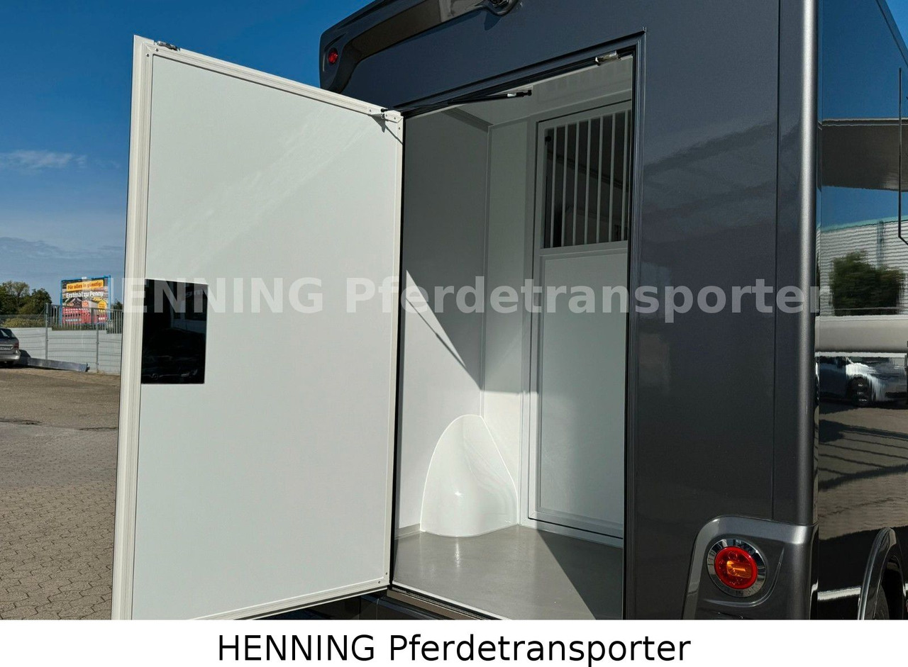 MAN TGE 3 - Sitzer *KLIMA PFERDEABTEIL* on lease MAN TGE 3 - Sitzer *KLIMA PFERDEABTEIL*: picture 10