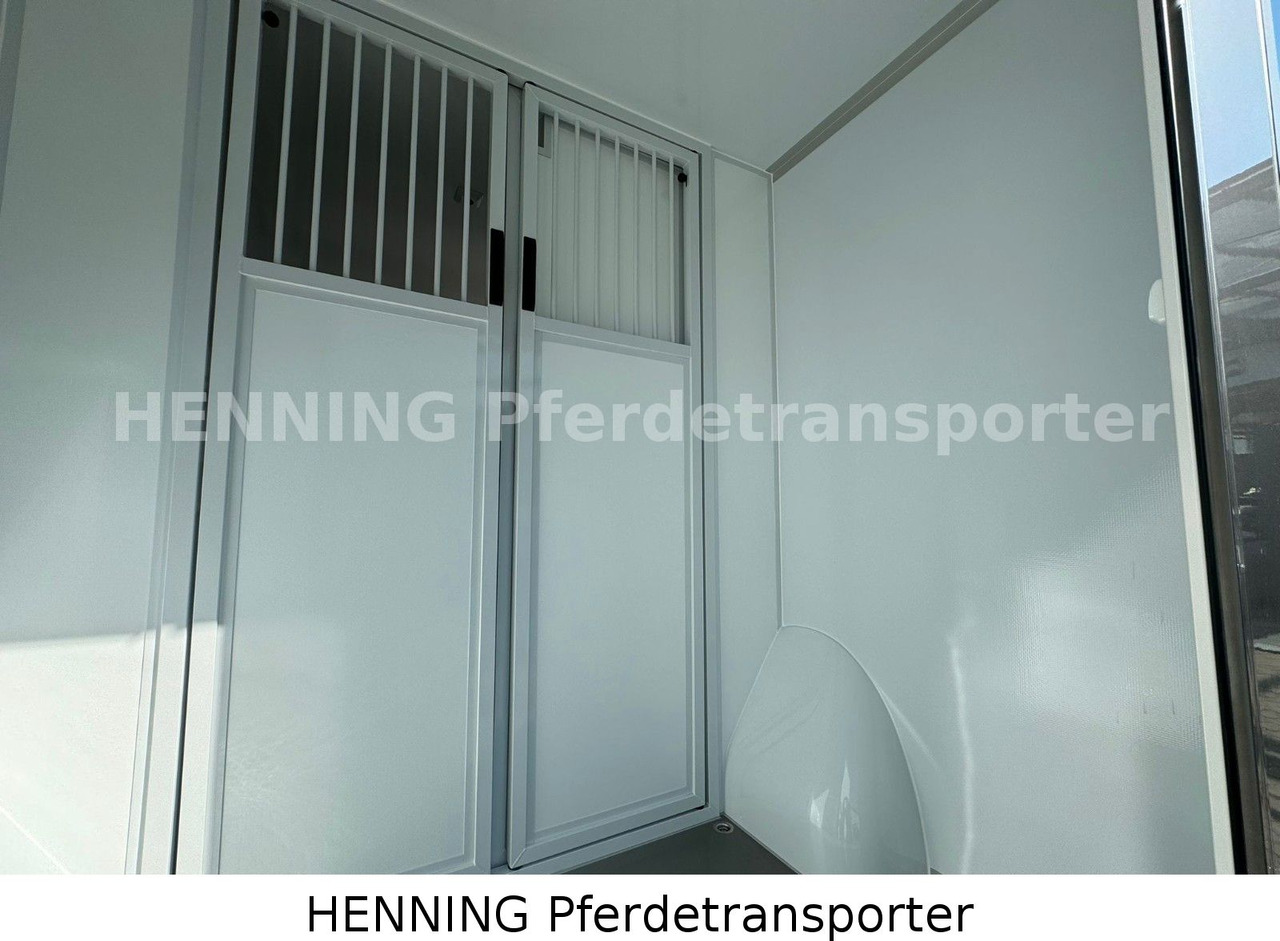 MAN TGE 3 - Sitzer *KLIMA PFERDEABTEIL* on lease MAN TGE 3 - Sitzer *KLIMA PFERDEABTEIL*: picture 11