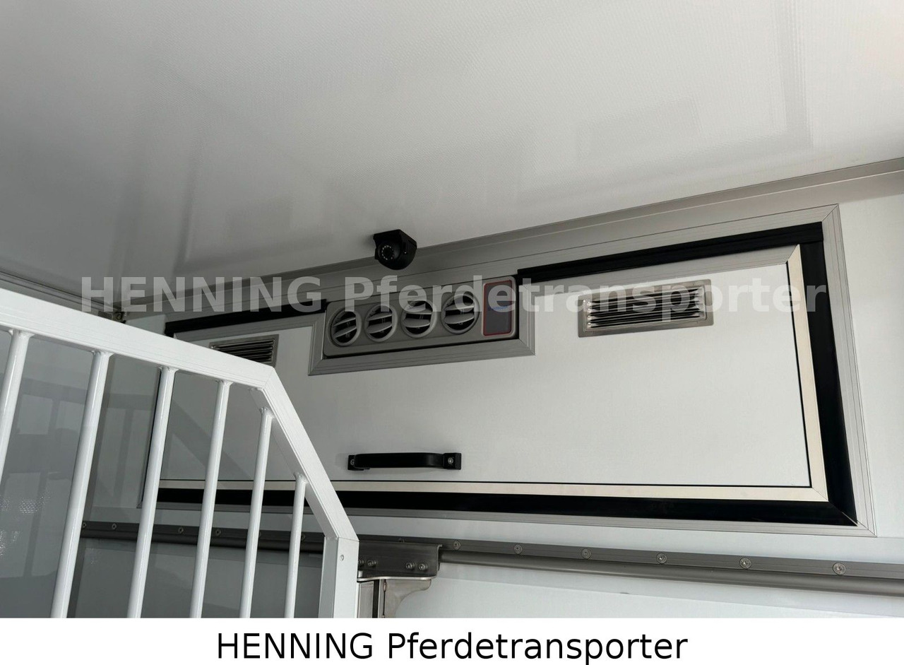 MAN TGE 3 - Sitzer *KLIMA PFERDEABTEIL* on lease MAN TGE 3 - Sitzer *KLIMA PFERDEABTEIL*: picture 9