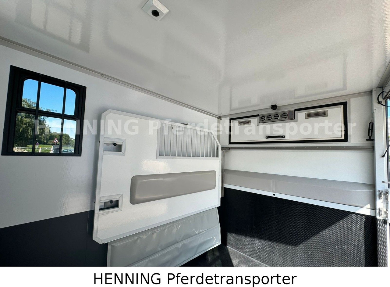 MAN TGE 3 - Sitzer *KLIMA PFERDEABTEIL* on lease MAN TGE 3 - Sitzer *KLIMA PFERDEABTEIL*: picture 12