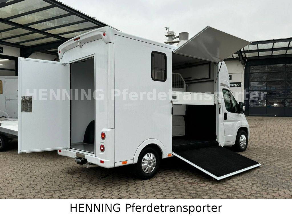Peugeot Boxer *NEUWAGEN* ca. 1.200kg Nutzlast - Horse truck: picture 4 Peugeot Boxer *NEUWAGEN* ca. 1.200kg Nutzlast - Horse truck: picture 4