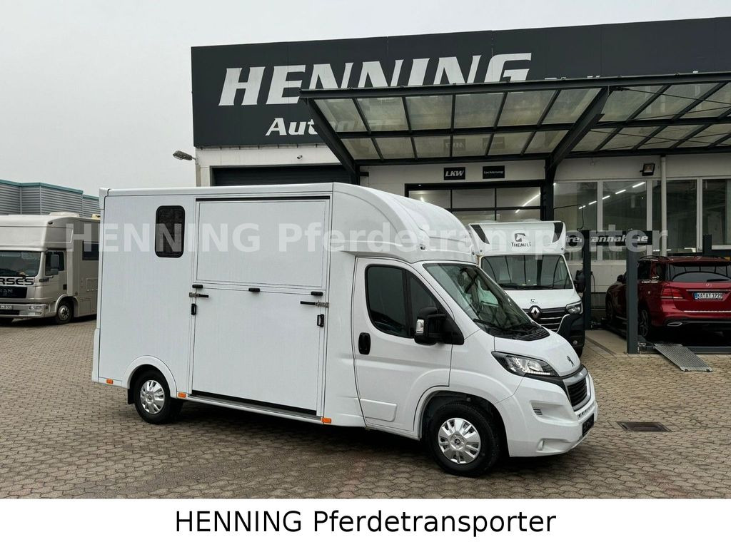 Peugeot Boxer *NEUWAGEN* ca. 1.200kg Nutzlast - Horse truck: picture 1 Peugeot Boxer *NEUWAGEN* ca. 1.200kg Nutzlast - Horse truck: picture 1