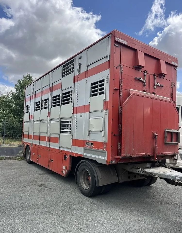 DAF XF 460 + Przyczepa Pezzaoli - 3X Trzoda, 2 X Bydło I 3 poziomy I Podnoszony dach I Hydroburta I Osie Skrętne I Poidła I Wentylatory I Pilot Manualny | Euro5 - Livestock truck: picture 3 DAF XF 460 + Przyczepa Pezzaoli - 3X Trzoda, 2 X Bydło I 3 poziomy I Podnoszony dach I Hydroburta I Osie Skrętne I Poidła I Wentylatory I Pilot Manualny | Euro5 - Livestock truck: picture 3