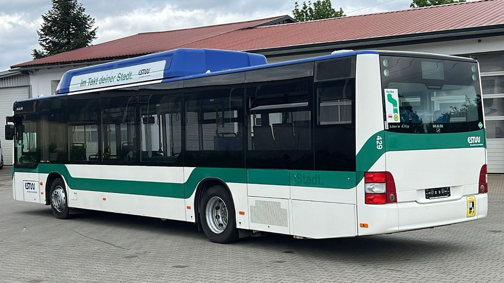 MAN A 21 CNG Euro 5 EEV - City bus: picture 5 MAN A 21 CNG Euro 5 EEV - City bus: picture 5