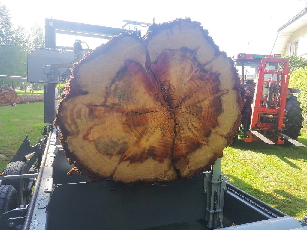 New Sawmill Trak-Met Trak taśmowy mobilny Big 130 cm TTP600 homologacja: picture 11