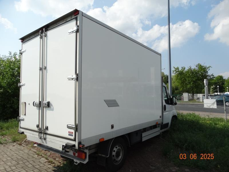 FIAT DUCATO CHŁODNIA/IZOTERMA - Refrigerated van: picture 4 FIAT DUCATO CHŁODNIA/IZOTERMA - Refrigerated van: picture 4