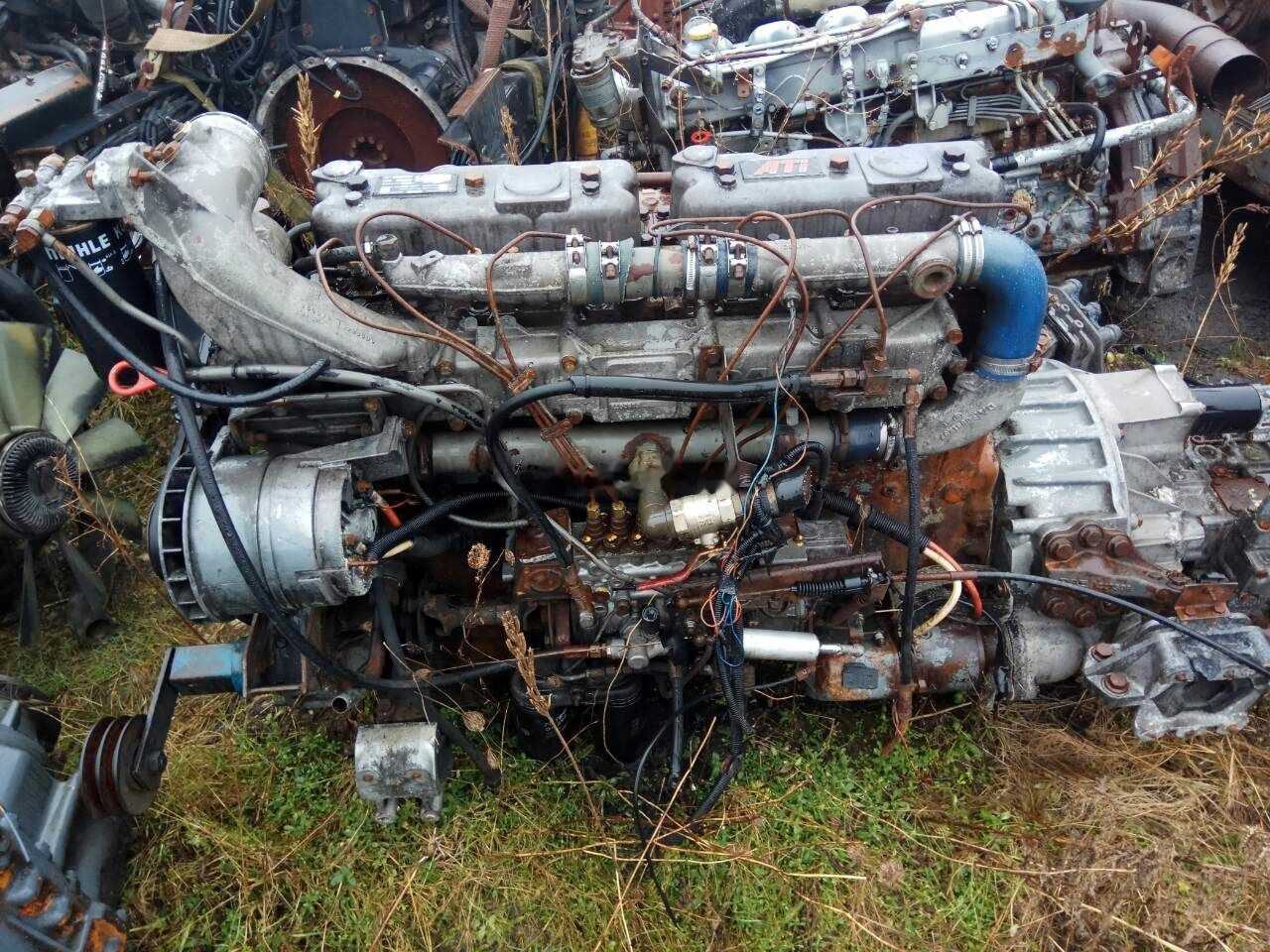 DAF ATI WS315M   DAF 95 - Engine for Truck: picture 1 DAF ATI WS315M   DAF 95 - Engine for Truck: picture 1