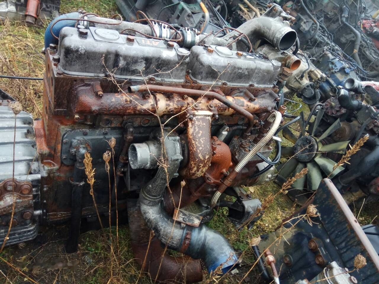 DAF ATI WS315M   DAF 95 - Engine for Truck: picture 3 DAF ATI WS315M   DAF 95 - Engine for Truck: picture 3