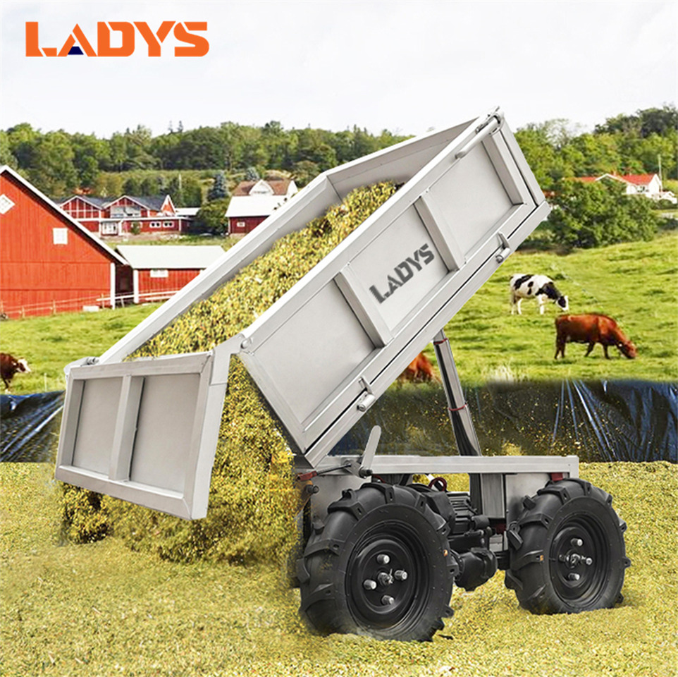 LADYS D-600 All-Terrain Four-Wheel Drive And Eight-Wheel Drive Transport Truck, Mountain Area Farm Orchard Greenhouse Construction Site Creeper Remote Control Electric Agricultural Transport Vehicle - Side-by-side/ ATV: picture 3 LADYS D-600 All-Terrain Four-Wheel Drive And Eight-Wheel Drive Transport Truck, Mountain Area Farm Orchard Greenhouse Construction Site Creeper Remote Control Electric Agricultural Transport Vehicle - Side-by-side/ ATV: picture 3
