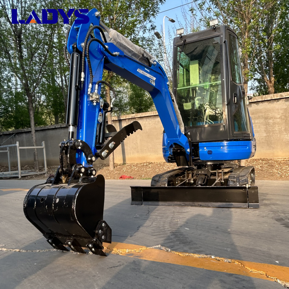 LADYS DY25U Mini Excavator CE Certification Kubota Engine(Factory Outlet) Mini Pelle Minibagger Minikoparka Miniexcavadora - Mini excavator: picture 3 LADYS DY25U Mini Excavator CE Certification Kubota Engine(Factory Outlet) Mini Pelle Minibagger Minikoparka Miniexcavadora - Mini excavator: picture 3
