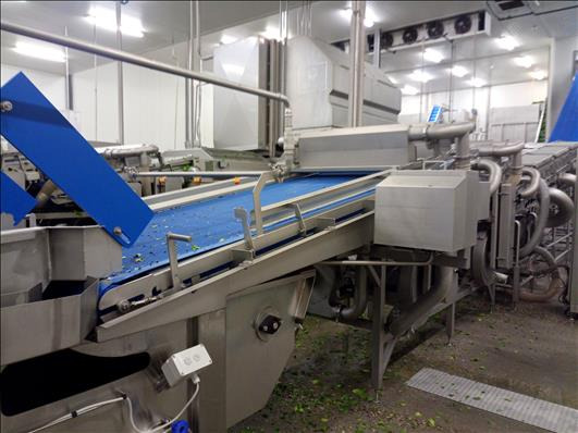 Food processing equipment FTNON Washing and drying line: picture 19