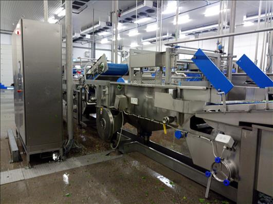 Food processing equipment FTNON Washing and drying line: picture 18