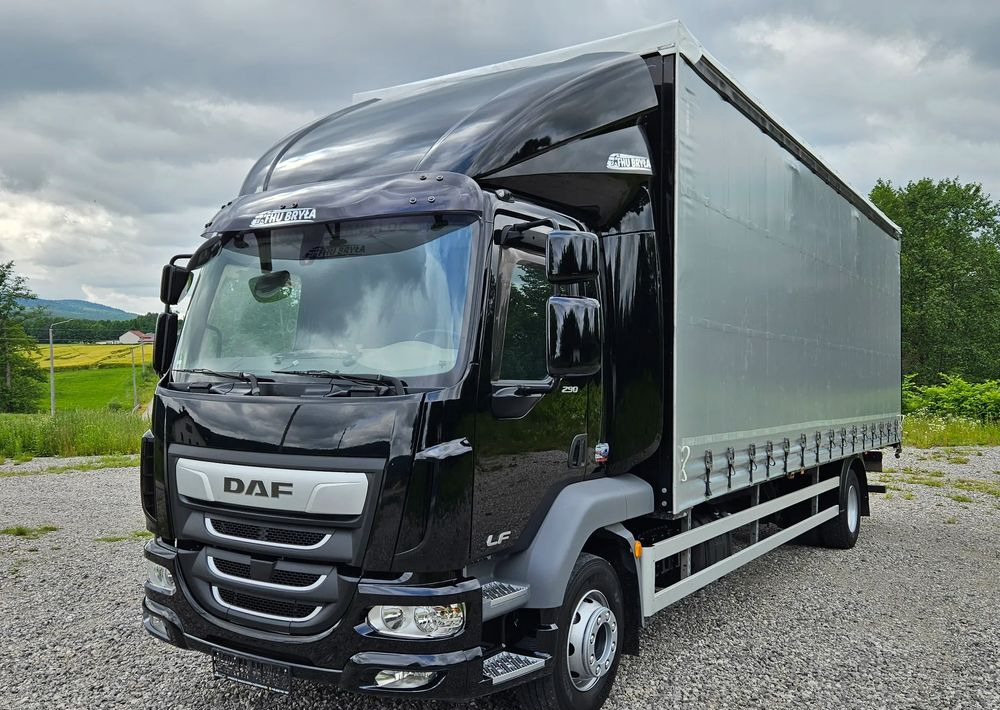 Curtainsider truck DAF LF 290 / WINDA / 16TON DMC / FIRANKA / AUTOMAT / JEDEN WŁAŚCICIE  / EURO 6 / 2019 / SPROWADZONY / 20PALET / NISKI PRZEBIEG / DUŻA ŁADOWNOŚĆ / JAK NOWY: picture 9