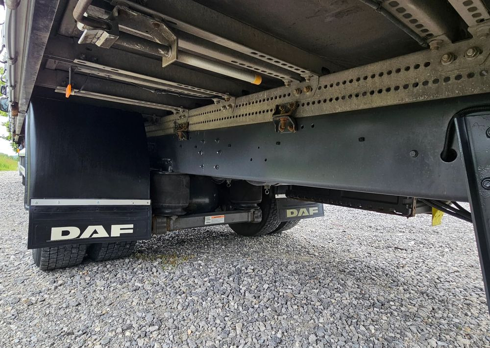 Curtainsider truck DAF LF 290 / WINDA / 16TON DMC / FIRANKA / AUTOMAT / JEDEN WŁAŚCICIE  / EURO 6 / 2019 / SPROWADZONY / 20PALET / NISKI PRZEBIEG / DUŻA ŁADOWNOŚĆ / JAK NOWY: picture 18