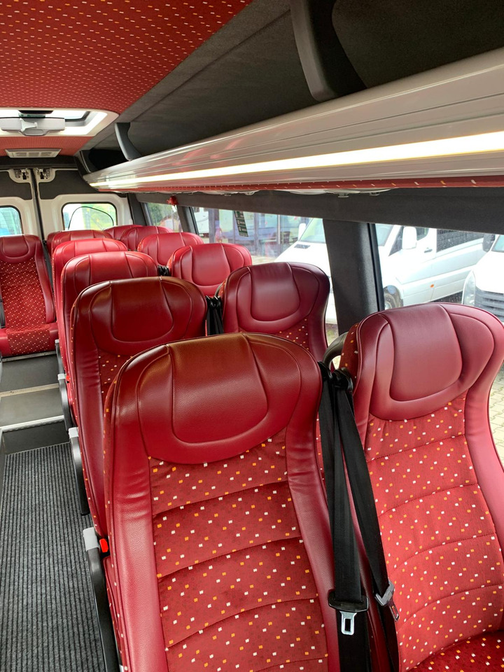 Coach Iveco Daily- 21 Miejsc: picture 21