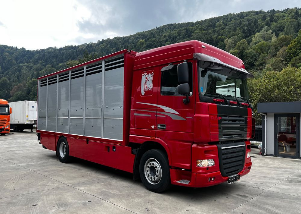 DAF XF 105.460 Euro 5 // Manual // Retarder // Do Żywca / Bydła / Zwierząt / - Livestock truck: picture 2 DAF XF 105.460 Euro 5 // Manual // Retarder // Do Żywca / Bydła / Zwierząt / - Livestock truck: picture 2