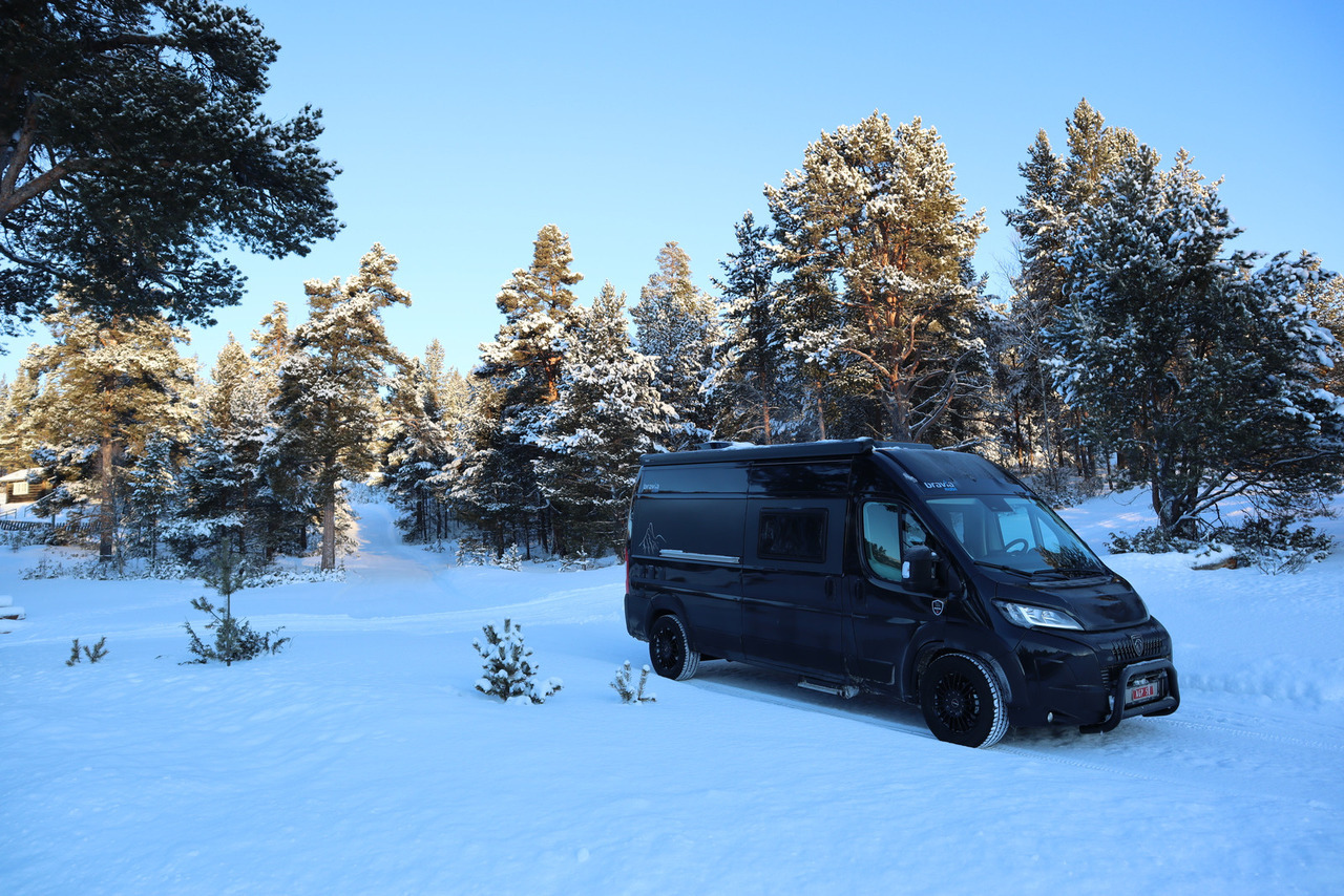 Bravia Swan 599 Nordic - Camper van: picture 1 Bravia Swan 599 Nordic - Camper van: picture 1