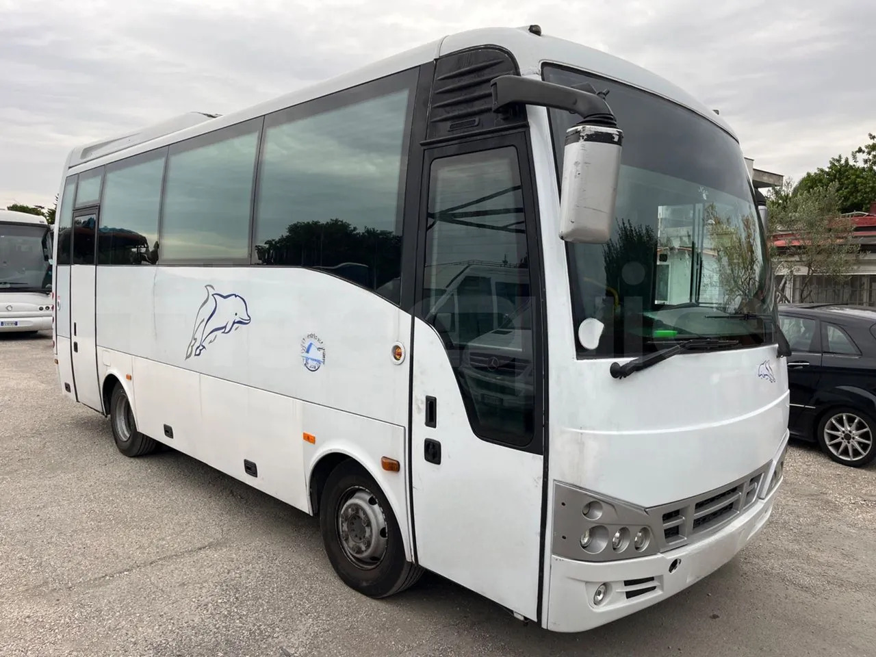 Isuzu Turquoise - Coach: picture 1 Isuzu Turquoise - Coach: picture 1