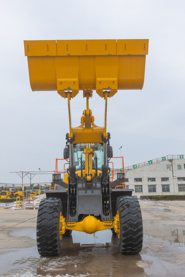 New Wheel loader SDLG L958H: picture 9