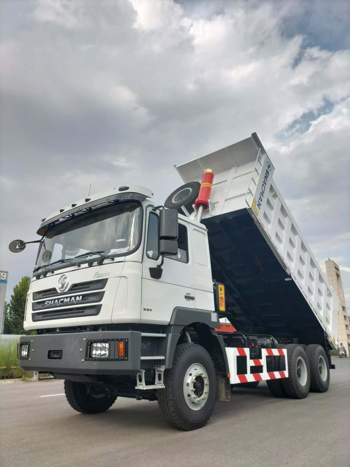 SHACMAN F3000 on lease SHACMAN F3000: picture 8