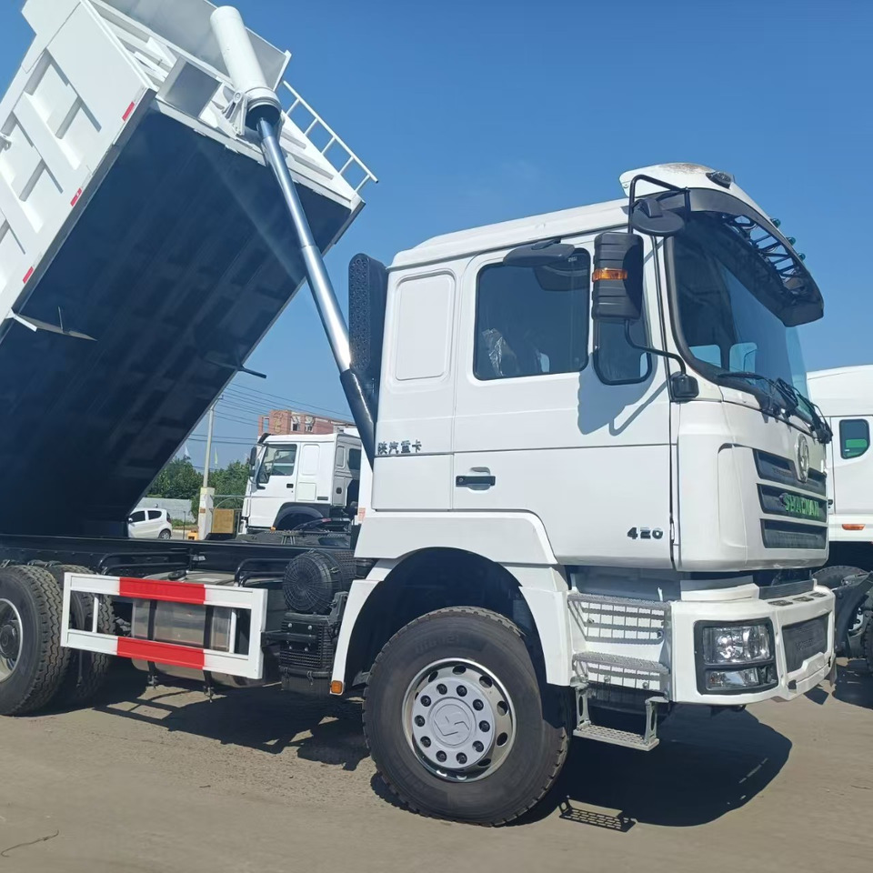 Tipper SHACMAN F3000: picture 7
