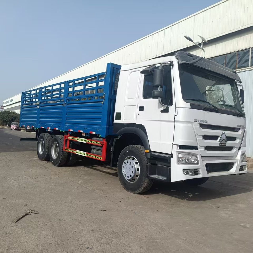 Truck SINOTRUK HOWO: picture 7