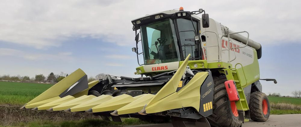 New Corn header Oros Cornado 6 4+2R Nowa Przystawka do kukurydzy: picture 6