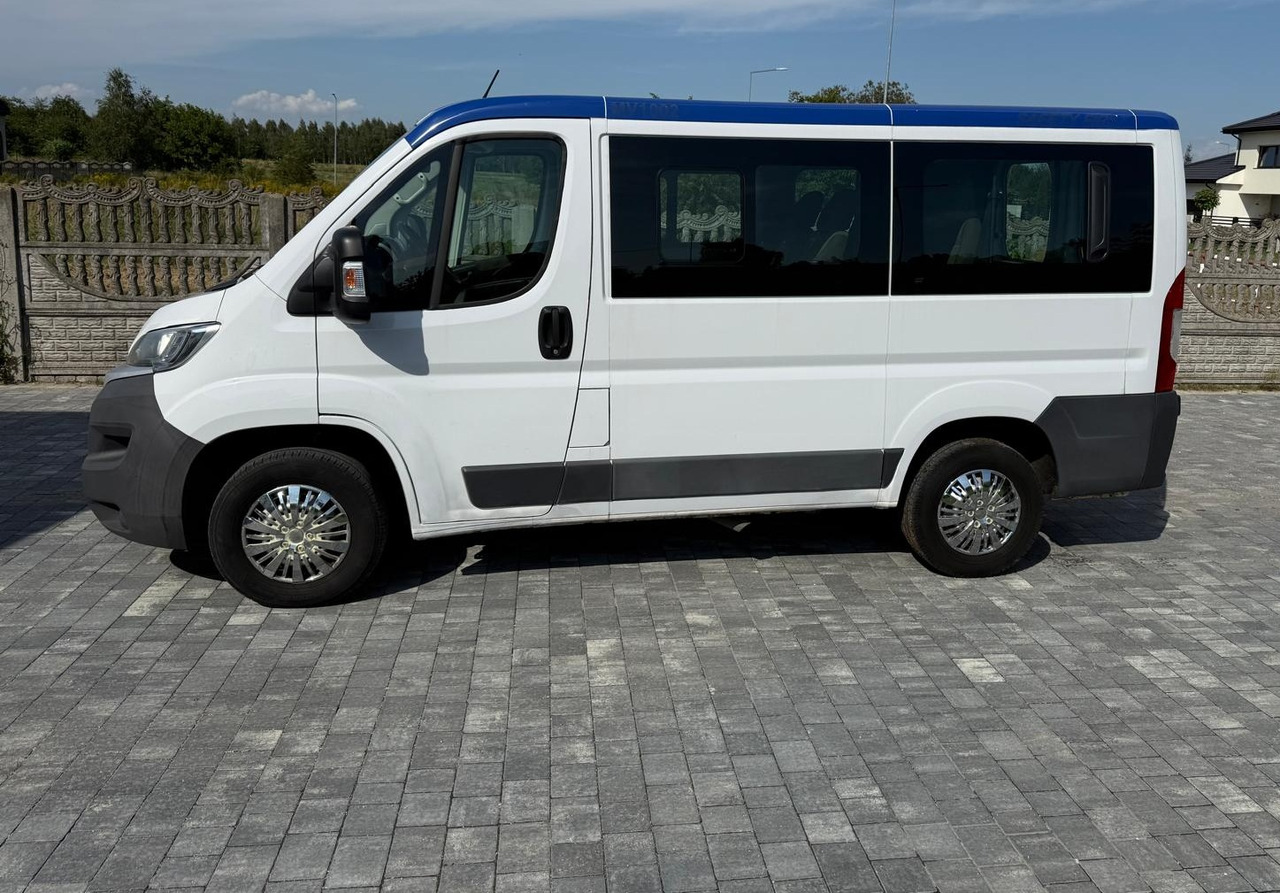 FIAT Ducato - Minibus, Passenger van: picture 1 FIAT Ducato - Minibus, Passenger van: picture 1
