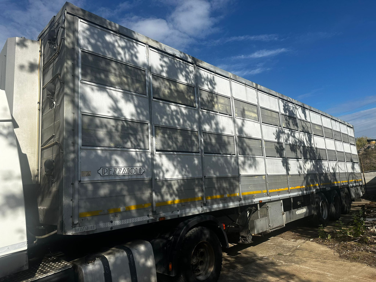 PEZZAIOLLI Animal Transport Semi-trailer - Livestock semi-trailer: picture 1 PEZZAIOLLI Animal Transport Semi-trailer - Livestock semi-trailer: picture 1