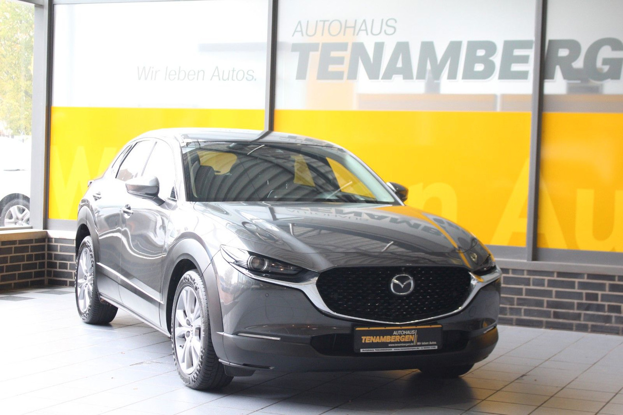 Mazda CX-30 Selection 2WD Matrix Bose HuD Navi SR + WR - SUV: picture 2 Mazda CX-30 Selection 2WD Matrix Bose HuD Navi SR + WR - SUV: picture 2
