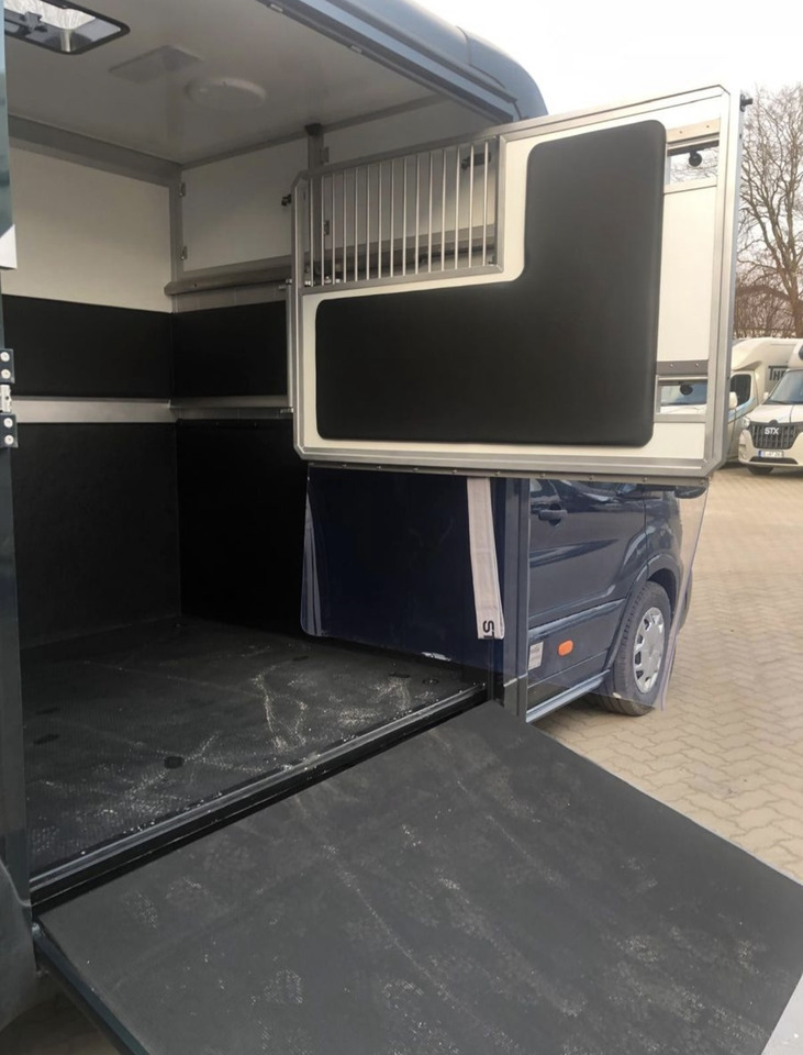 Ford Transit - Horse truck: picture 5 Ford Transit - Horse truck: picture 5