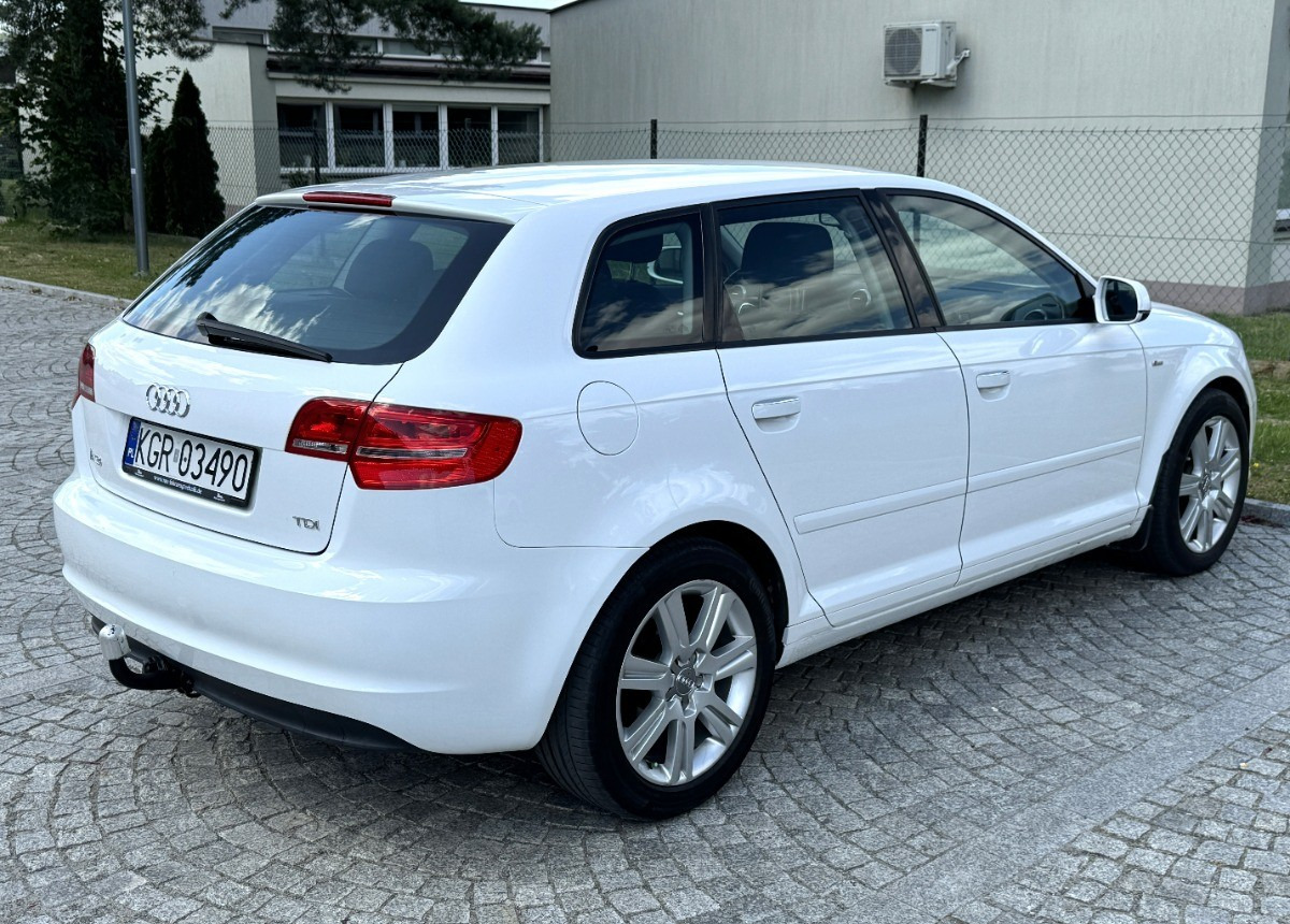Audi A3 1.6 TDI 105KM Bezwypadkowy potwierdzony przebieg AUTO BARDZO ZADBANE - Car: picture 3 Audi A3 1.6 TDI 105KM Bezwypadkowy potwierdzony przebieg AUTO BARDZO ZADBANE - Car: picture 3