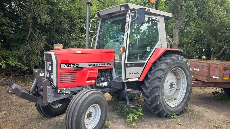 Massey Ferguson 3070 Traktor - Farm tractor: picture 1 Massey Ferguson 3070 Traktor - Farm tractor: picture 1