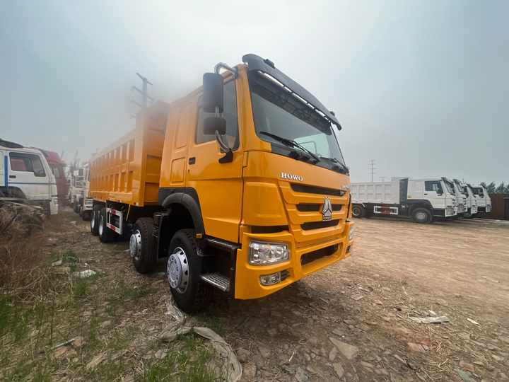 China Brand Howo Dump 12 Wheeler 8x4 6x4 6 4 Sinotruk 371 Hp 375hp Sino Mine Tipper Truck for Sale - Tipper: picture 3 China Brand Howo Dump 12 Wheeler 8x4 6x4 6 4 Sinotruk 371 Hp 375hp Sino Mine Tipper Truck for Sale - Tipper: picture 3