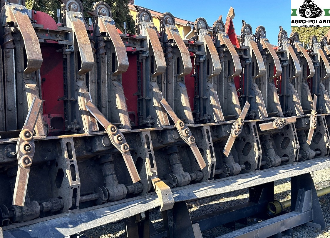 OLIMAC DRAGO 2 - S 8 TR - 8X70 - 2017 ROK - Corn header: picture 4 OLIMAC DRAGO 2 - S 8 TR - 8X70 - 2017 ROK - Corn header: picture 4