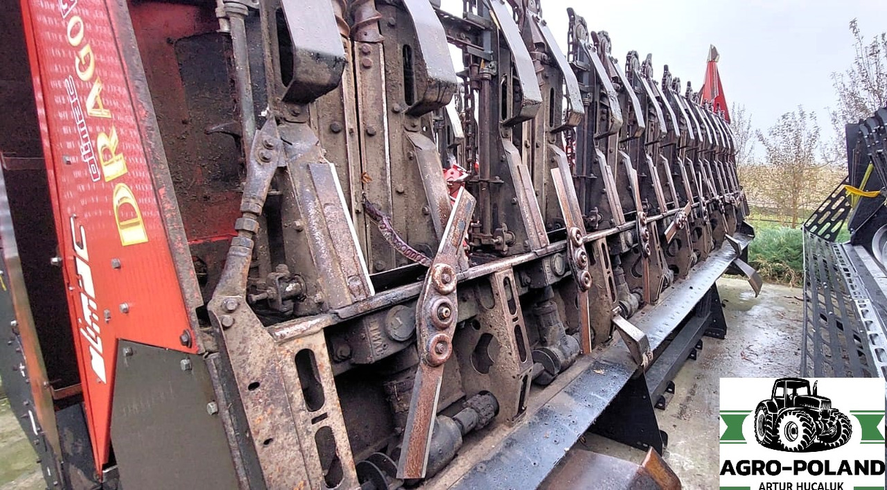 OLIMAC DRAGO S 8 TR - 8X70 - 2014 ROK - Corn header: picture 1 OLIMAC DRAGO S 8 TR - 8X70 - 2014 ROK - Corn header: picture 1