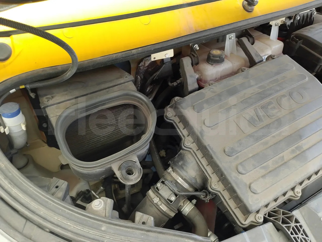 School bus Iveco Indcar: picture 20