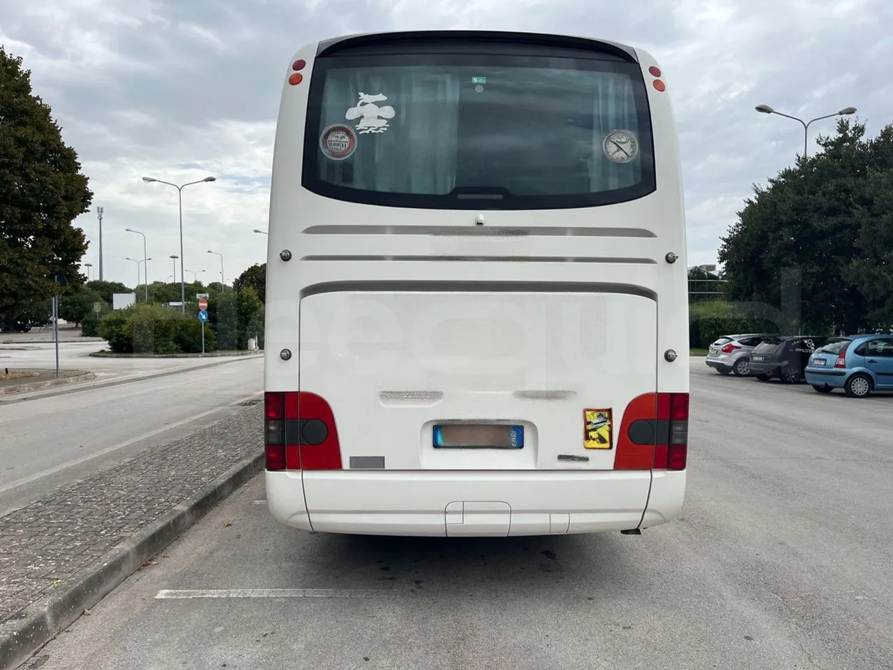 Man Lion's Coach - Coach: picture 5 Man Lion's Coach - Coach: picture 5