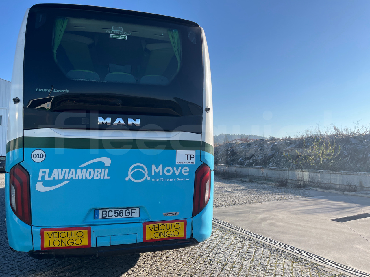 Man Lion's Coach - Coach: picture 5 Man Lion's Coach - Coach: picture 5