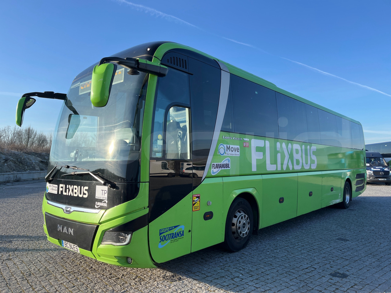 Man Lion's Coach - Coach: picture 4 Man Lion's Coach - Coach: picture 4