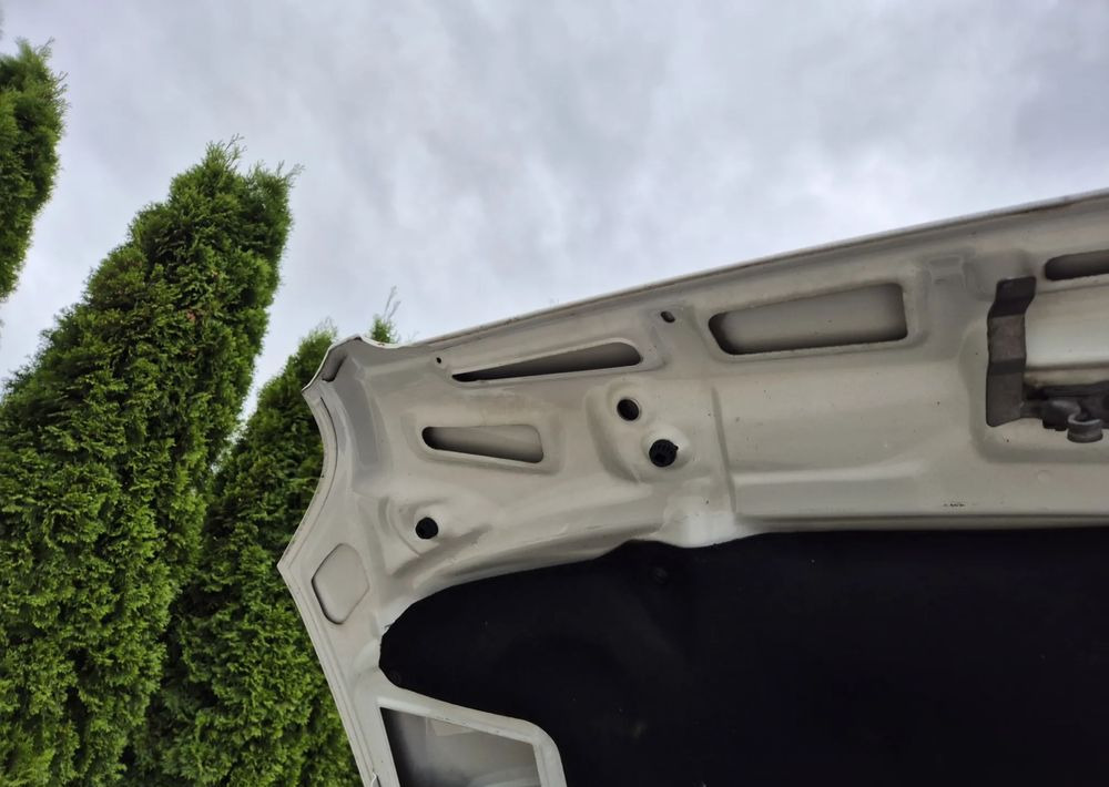 Flatbed van Mercedes-Benz 316CDI 2.2 160KM: picture 16