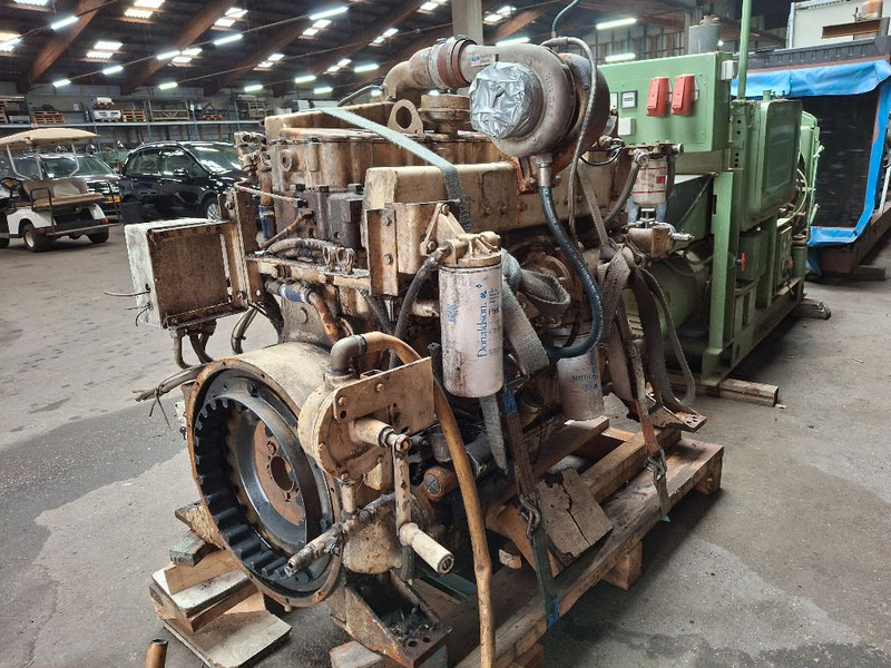 Cummins BIG CAM - Engine: picture 4 Cummins BIG CAM - Engine: picture 4