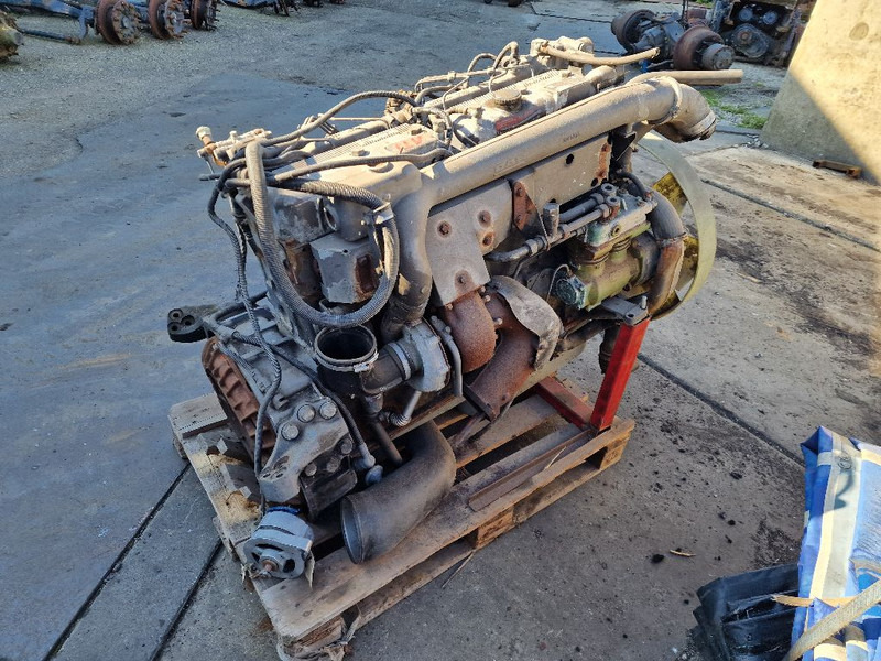DAF 865 RS200L - Engine: picture 3 DAF 865 RS200L - Engine: picture 3