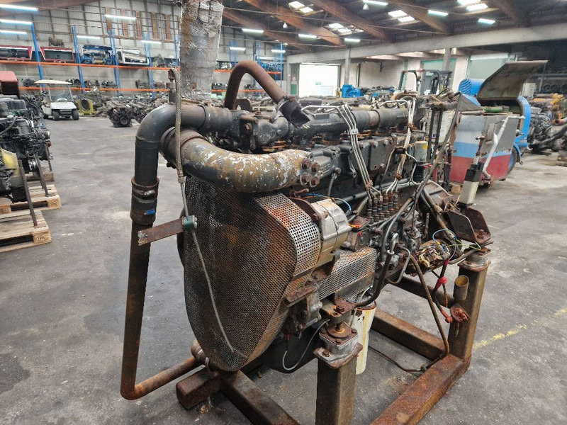 DAF WS268 - Engine: picture 2 DAF WS268 - Engine: picture 2