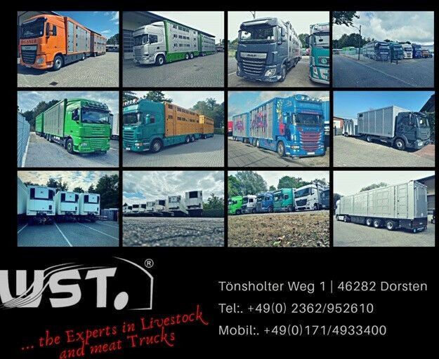 Refrigerator semi-trailer Krone Kühlauflieger Carrier Vector 1550 Rohrbahn: picture 25
