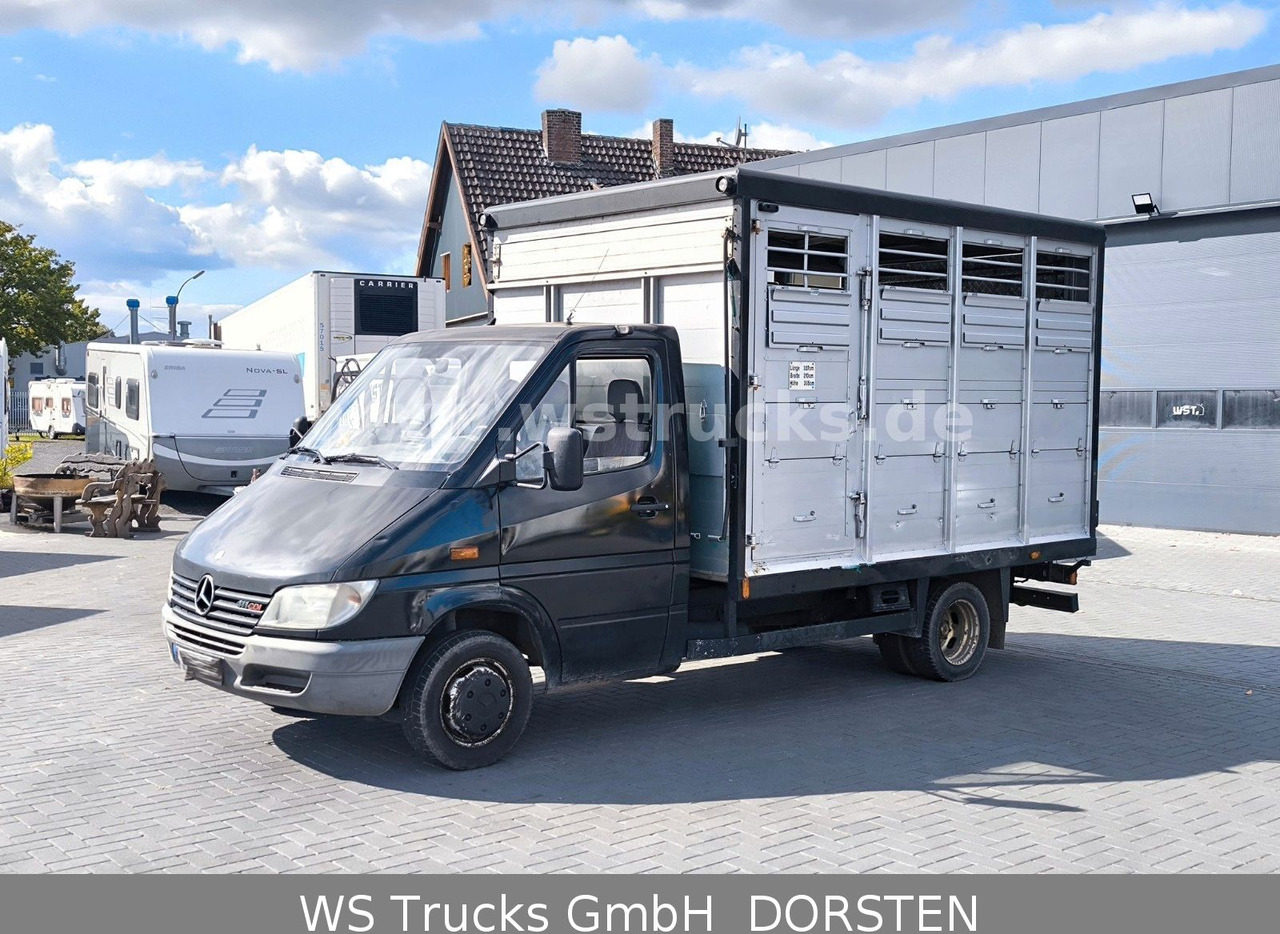 Mercedes-Benz Sprinter 411 CDI Viehtransporter - Livestock truck: picture 1 Mercedes-Benz Sprinter 411 CDI Viehtransporter - Livestock truck: picture 1