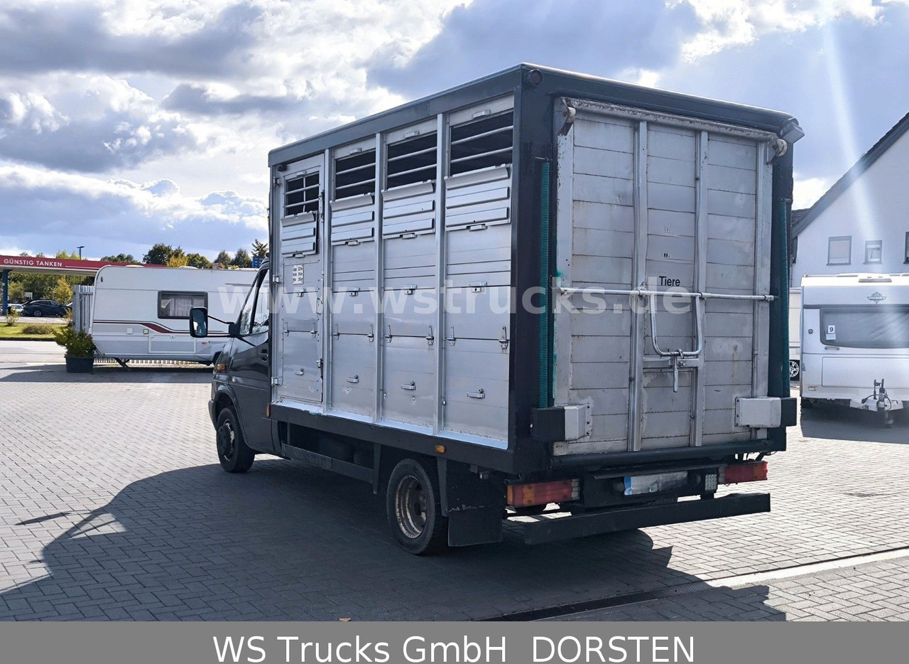 Mercedes-Benz Sprinter 411 CDI Viehtransporter - Livestock truck: picture 4 Mercedes-Benz Sprinter 411 CDI Viehtransporter - Livestock truck: picture 4
